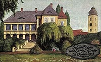 Rogw Sobocki - Zamek w Rogowie w 1863 roku