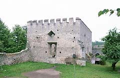 Zamek w Szydowie